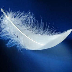 Déo Plume :o) Anti Transpirant Longue Durée