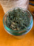 Les Tisanes ! «Artemisia Annua» 300 g.