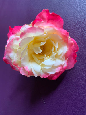 Gelée Merveille Boucles Rose Mélisse - Bain d'Hydratation Profonde