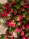 Gelée Merveille Boucles Rose Mélisse - Bain d'Hydratation Profonde