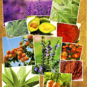 Potion Lumière  ! Lotion traitante régulatrice du visage, anti-tâches