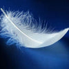 Déo Plume :o) Anti Transpirant Longue Durée